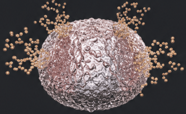 Illustration of a mast cell releasing histamine and inflammatory mediators.