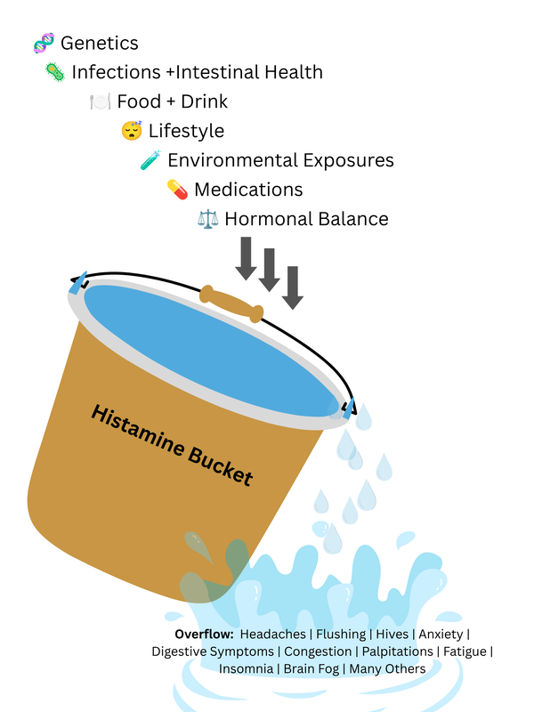 Histamine bucket infographic showing common contributors such as genetics, gut health, food, stress, environmental exposures, medications, and hormones leading to symptoms when the body’s histamine load becomes too high.